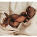 Игрушка &quot;Динозавр Тираннозавр&quot;, коллекция &quot;Magic Dino&quot;, 22 см Magic Manufactory | Фото 5