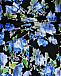Платье миди, синий цветочный принт Philosophy Di Lorenzo Serafini | Фото 7
