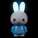 Интерактивная игрушка Медовый зайка alilo G6+, голубой  | Фото 4
