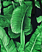 Бермуды с принтом &quot;листья&quot; Dolce&Gabbana | Фото 3