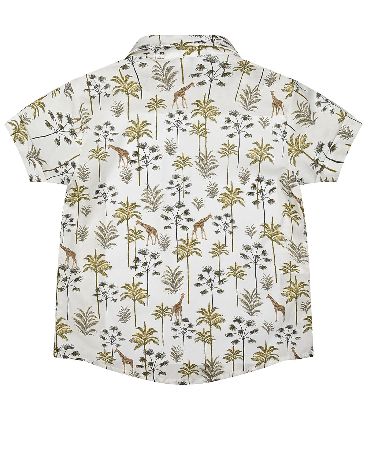 Рубашка с принтом "Пальмы" Aletta детская, размер 80, цвет мультиколор - фото 2
