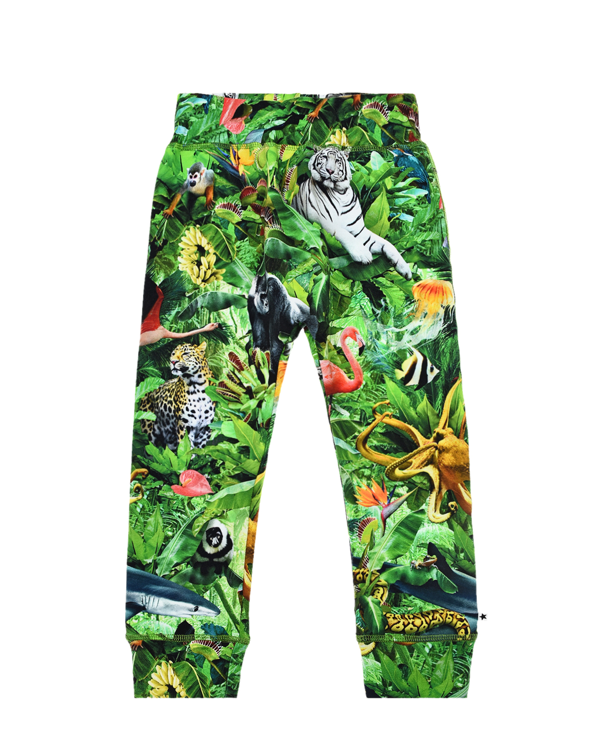 Спортивные брюки с принтом "Звери в джунглях" Molo детские, размер 74, цвет зеленый - фото 1