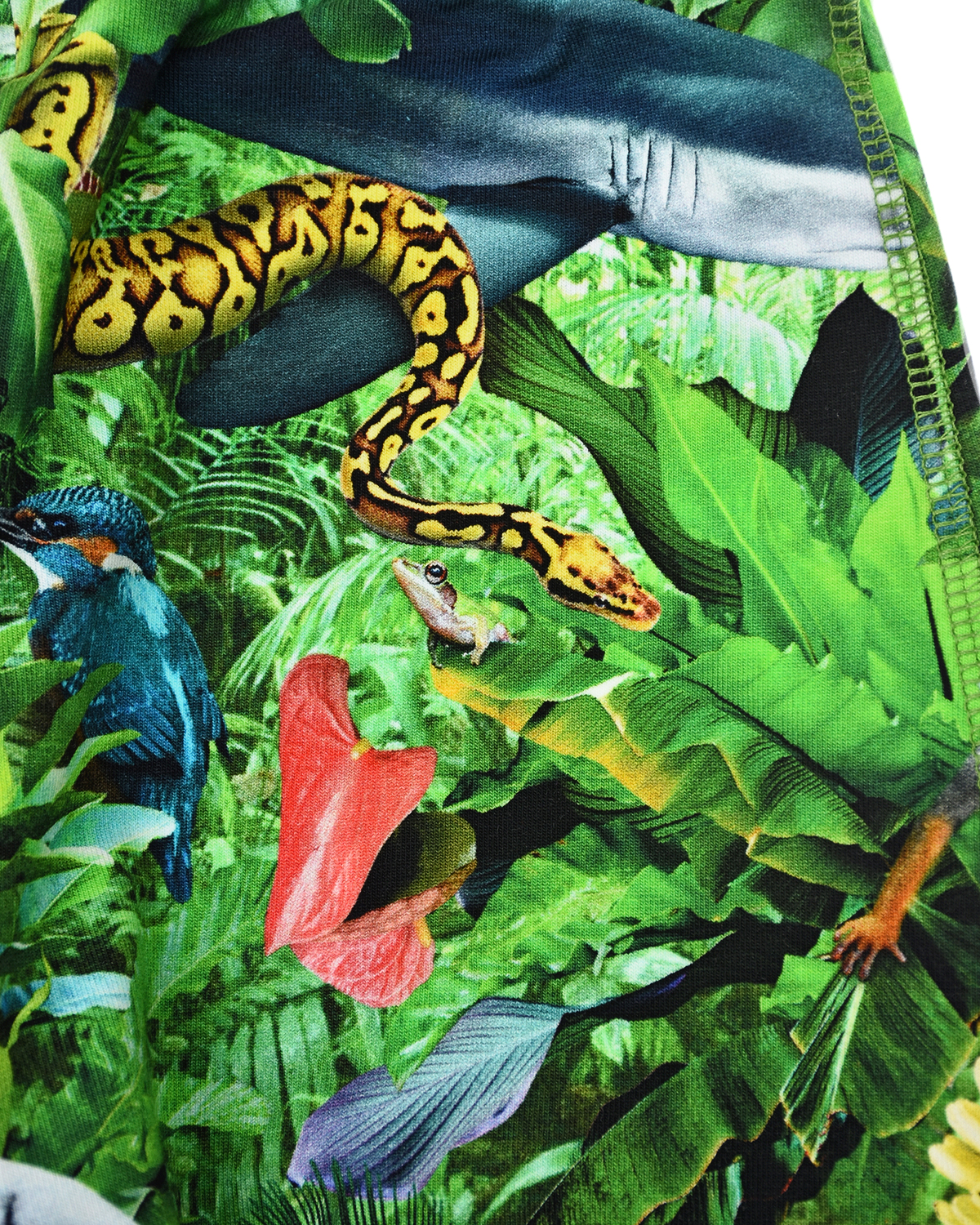 Спортивные брюки с принтом "Звери в джунглях" Molo детские, размер 74, цвет зеленый - фото 3