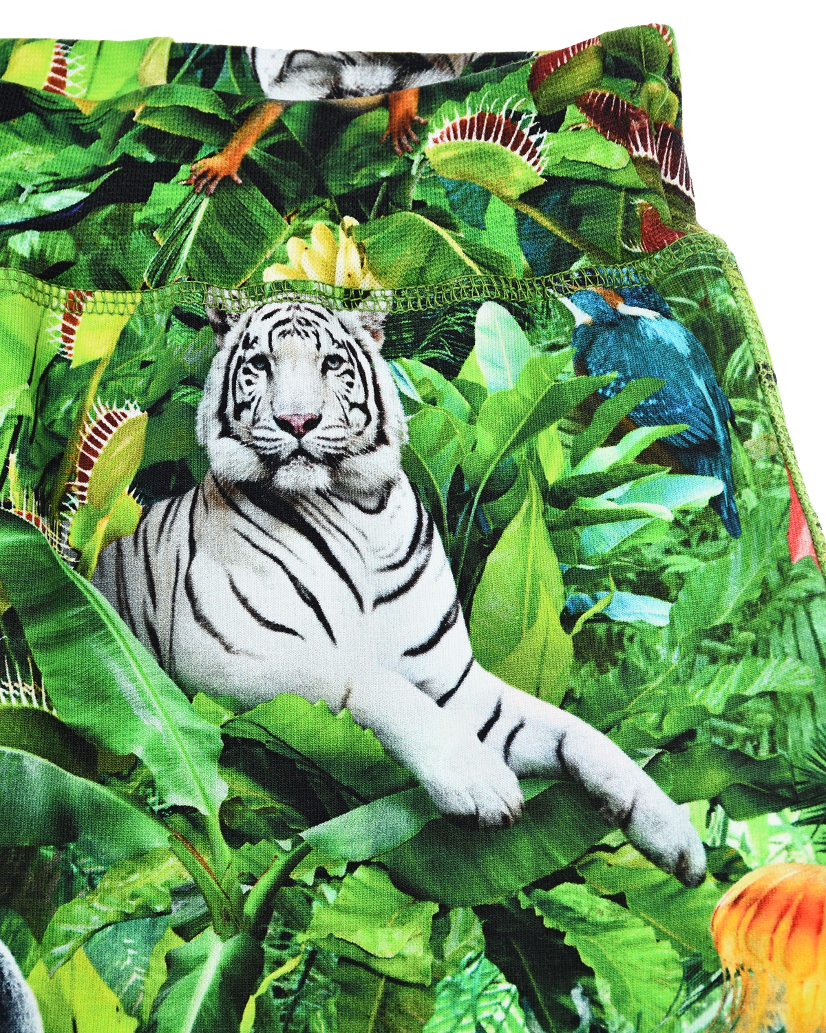 Спортивные брюки с принтом "Звери в джунглях" Molo детские, размер 74, цвет зеленый - фото 5