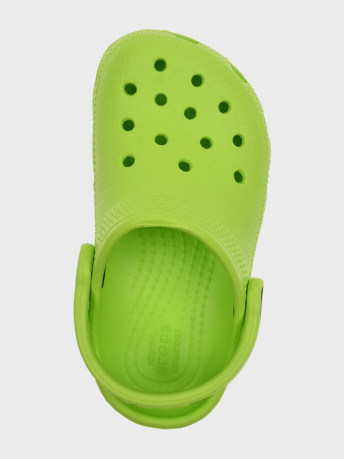 Сланцы классические, салатовые Crocs Вид№4