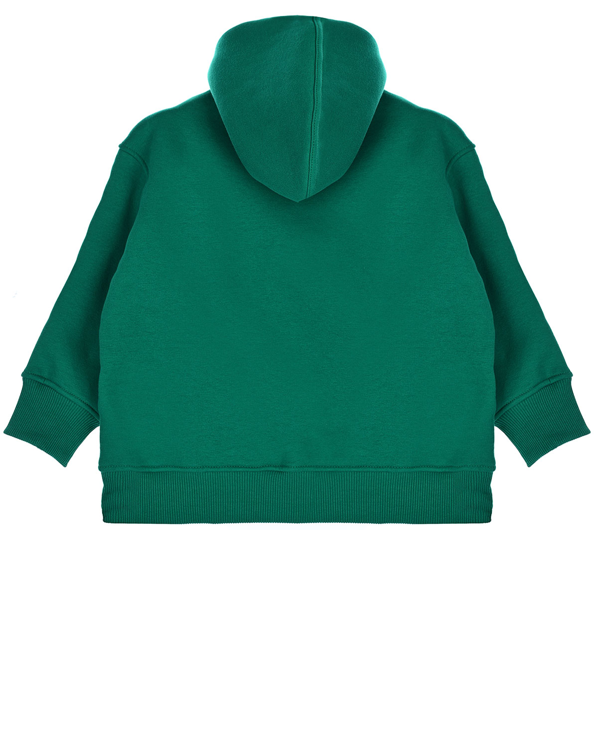 Зеленая толстовка-худи с принтом "тигр" Dan Maralex детская, размер 92, цвет зеленый - фото 2