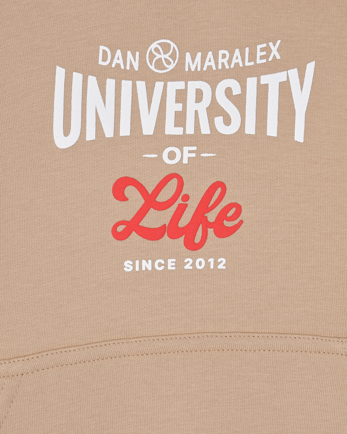 Бежевая толстовка-худи с принтом "University of Life" Dan Maralex детская, размер 140, цвет нет цвета - фото 3