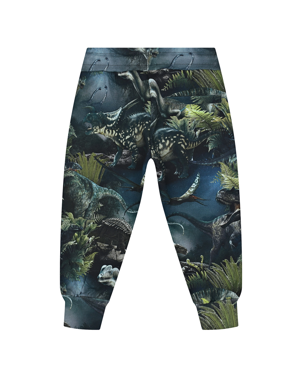 Спортивные брюки Alvar Dino Night Molo детские, размер 110, цвет мультиколор - фото 2