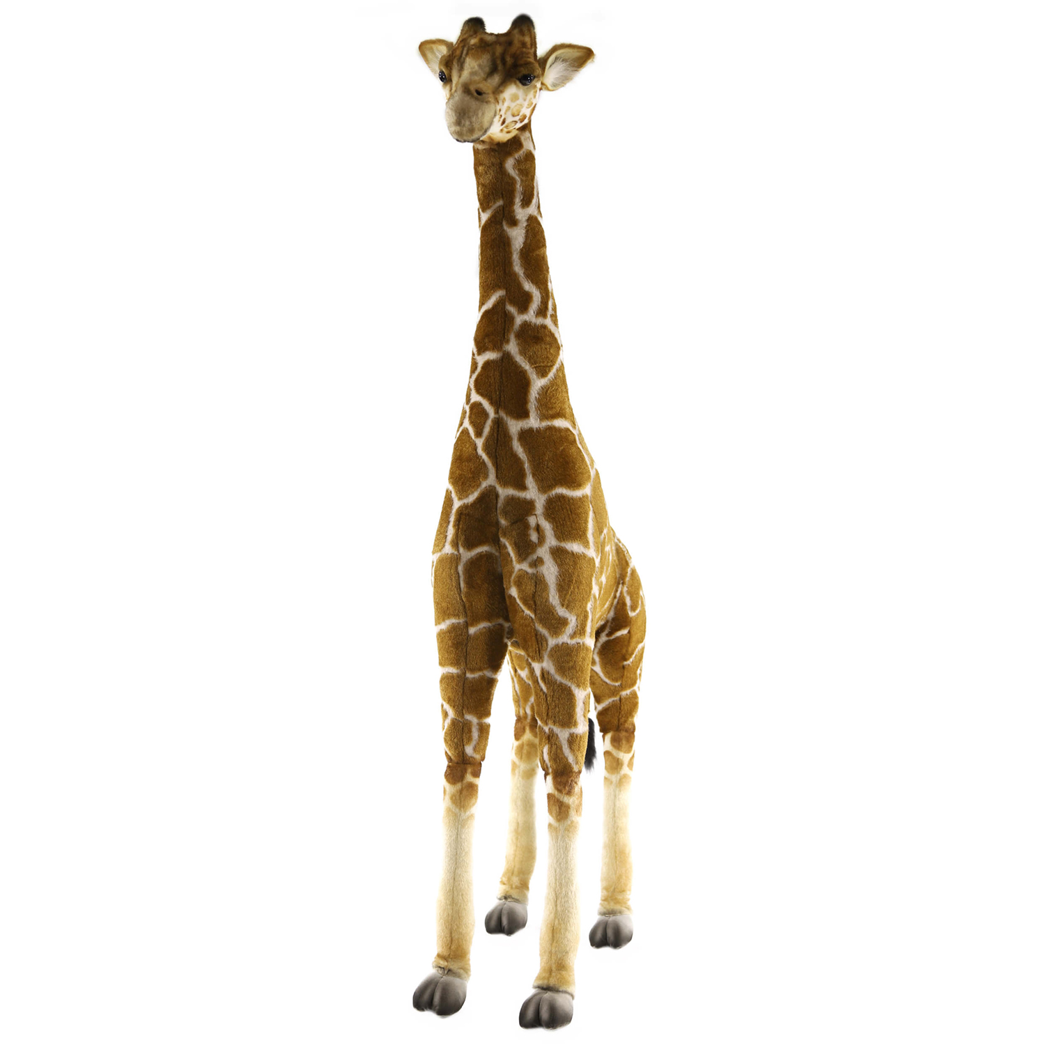 hansa giraffe