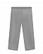 Вельветовые брюки, серые Dan Maralex | Фото 2