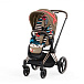 Детская коляска 2 в 1 Cybex PRIAM IV Люлька, ткань прогулочного блока FE KK One Love и шасси Rosegold  | Фото 3